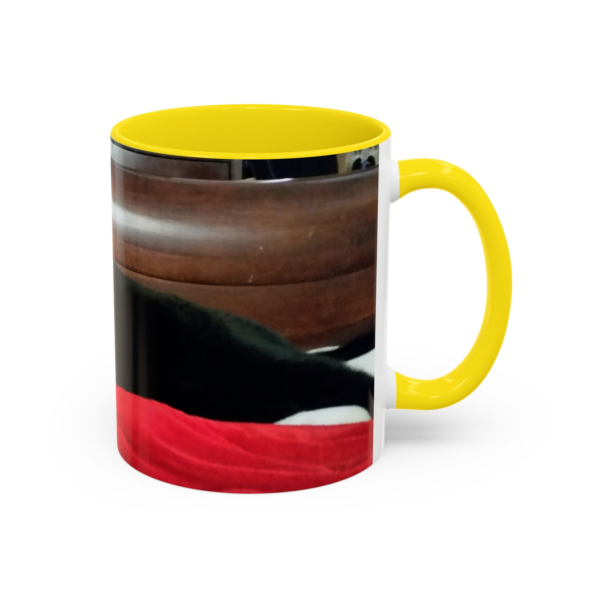 Put Your Pet in Print! — Cozy Cat Photo Mug (11/15 oz)