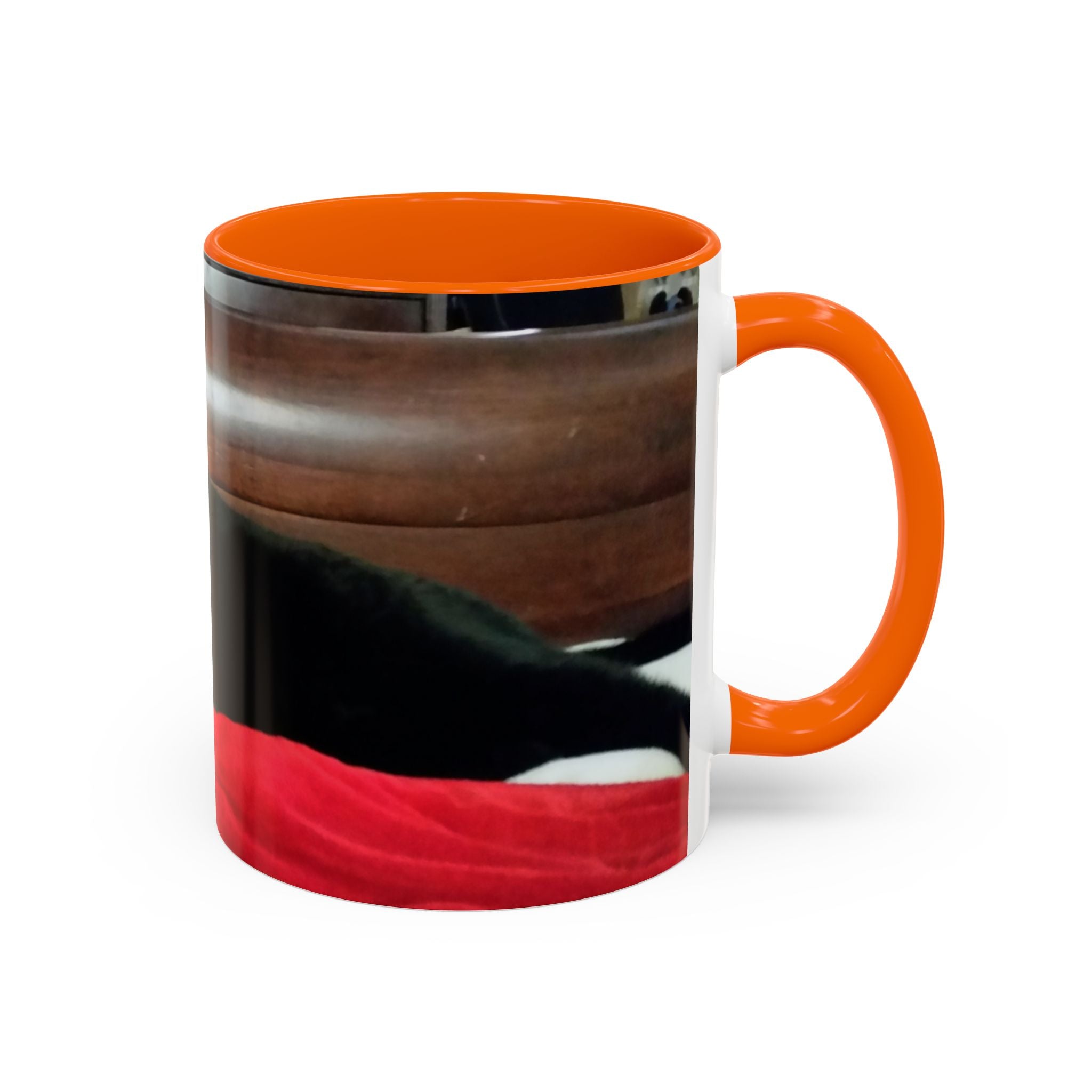 Put Your Pet in Print! — Cozy Cat Photo Mug (11/15 oz)