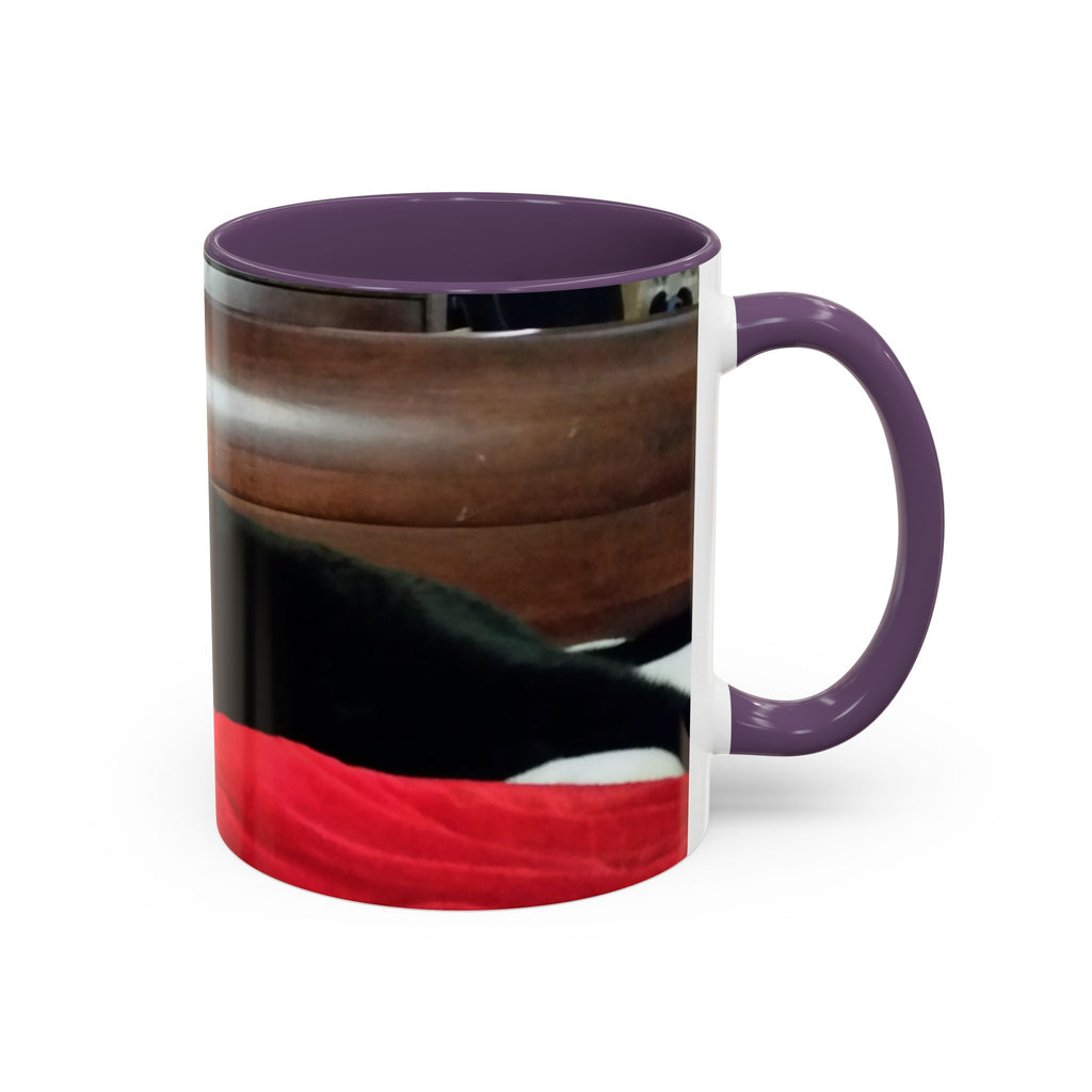 Put Your Pet in Print! — Cozy Cat Photo Mug (11/15 oz)