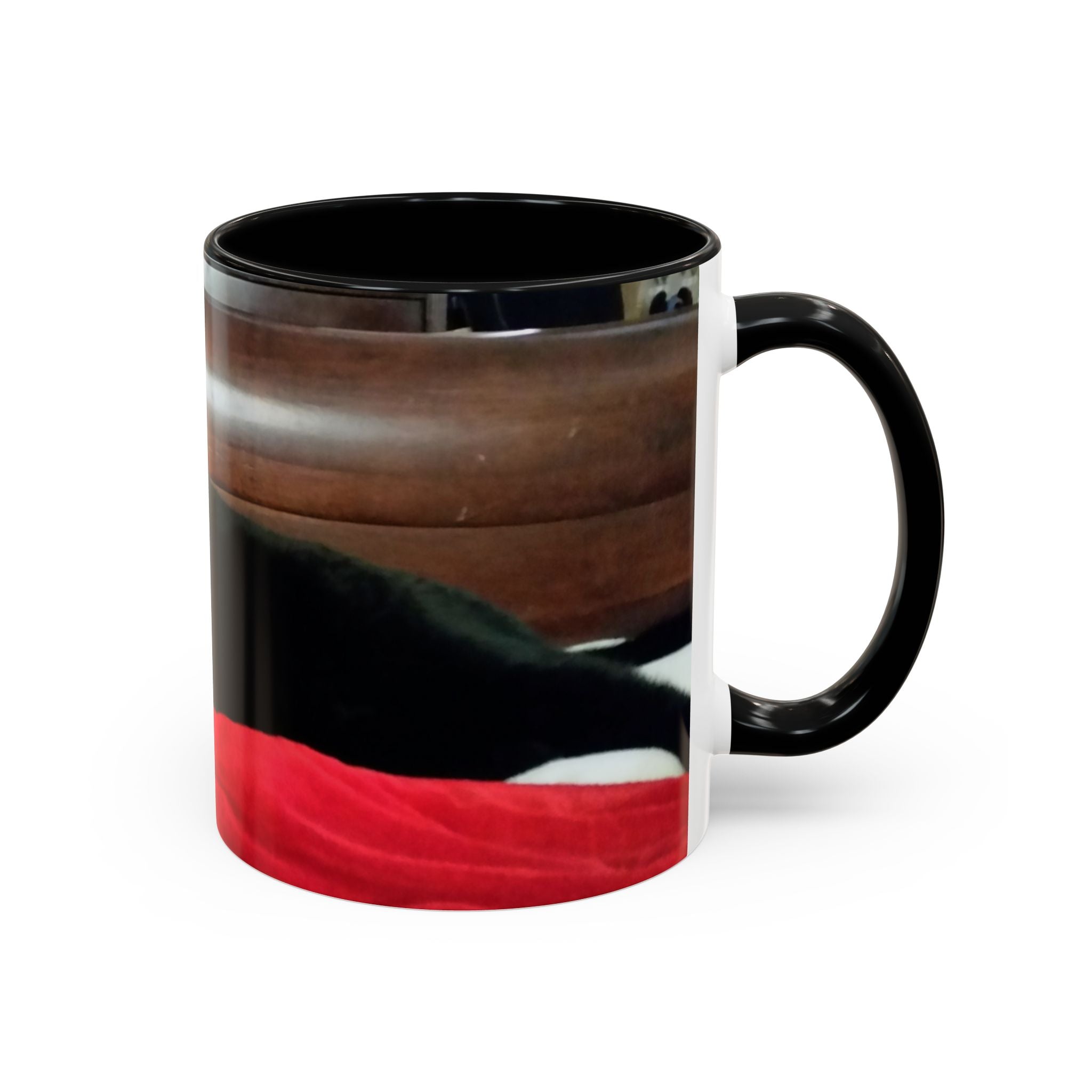 Put Your Pet in Print! — Cozy Cat Photo Mug (11/15 oz)